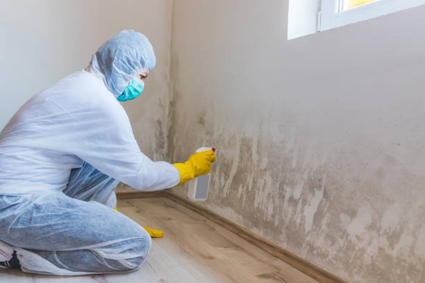 Licensed Mold Testing service in Sedley, VA - WQB Mold Removal